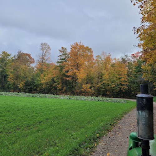 Wagon Rides Tickets  Wagon Rides Tickets